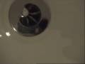 vortices and water going down a plug hole