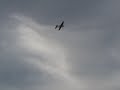 Lanier Yak 54 with DL-100 2nd flight