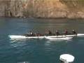 Outriggers Cross Cook Strait . New Zealand