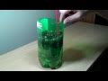 2 liter bottle self watering experiment DIY