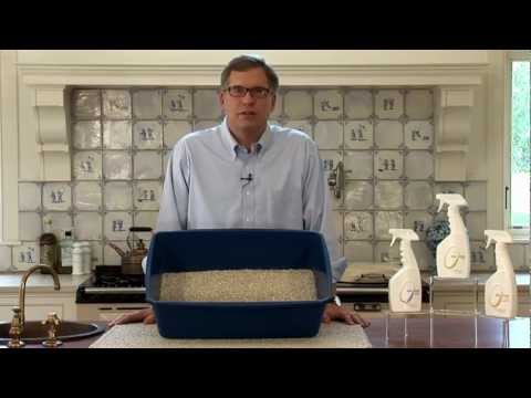 how to control odor from litter box