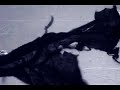 Haiga - Haiku Visual - Video Minuto