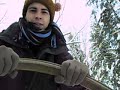 chien de traineaux 063.avi