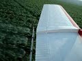 Aviação Agrícola