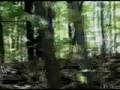 Eye of the Beholder - trailer - a Bryan Adkins film