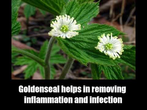 how to treat cellulitis at home