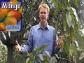 Daleys Fruit Tree Newsletter September 2006 Daleys Fruit Tree Newsletter September 2006