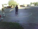 Breandan skateboarding with friends