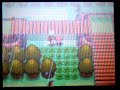Pokemon Diamond/Pearl: Route 210 & 215