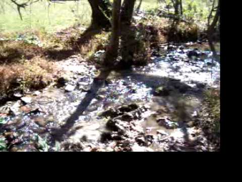 25.78 acres Whittier, NC