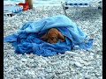 SKOPELOS 2006