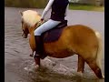Afra Lekker Zwemmen!