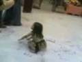 videos de كچ