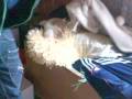 videos de Espe encerrao 1