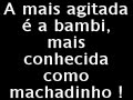 machadinho