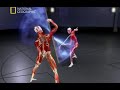 Anatomia Sztuk Walki cz.8 Anatomia Sztuk Walki cz.8