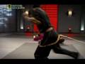 chinese martial arts .8