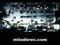 El leon - Mi novia se cayo en un pozo ciego - Fabulosos Cadillacs Lima