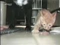 Kaline et Uzac au repas...