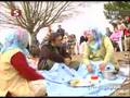Part 2 ADANA ÇEVRETEPE Katundi Shqip ne Turqi