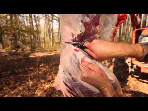 how to skin and quarter a deer