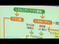L-carnitine Food Supplement : DigInfo