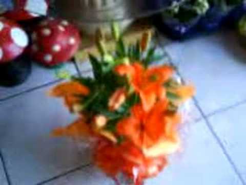 Orquideas, mudas ,Brasil, Brasileiras 62 -32427040