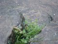 Chuva Granizo Aiuruoca Chuva Granizo Aiuruoca