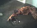 Wrestling-Romanesc-P