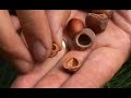 AZ of Bushcraft (G for Gathering)