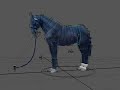 teste de animao - cavalo - rig