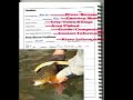 Fly Fishing Journal