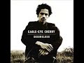 a really good song from the desireless album by eagle eye cherry. the song which are a tribute to hes father, don cherry.