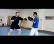 Tai Chi Chuan and SanshouTechniques