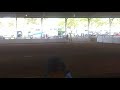 Mornington Toy Town Horse of the Year