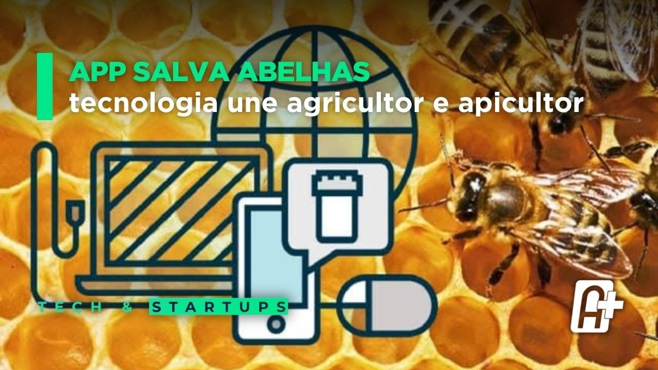 Proteção de Abelhas: App GeoApis com Elaine Basso | Tech & Startups