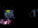 Allman Brothers Why Does Love Got To Be So Sad? Saratoga \