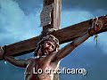 Querido Jesus