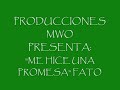 Fato-Me hice una promesa