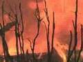 Malibu Wildfire Latigo Canyon Area