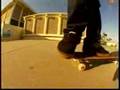 janoski flip 360