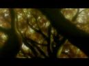 Cloudy Pop Book [Samurai Champloo AMV]