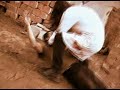 Lott� rekl�m