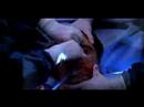 nip/tuck amv para nibus
