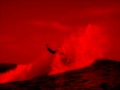 Surf Shit
