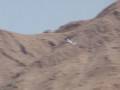 Growler recovery