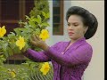 HETTY KOES ENDANG HETTY KOES ENDANG