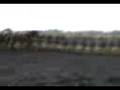 Alka hill.3gp