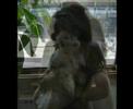 Dedicato all'amore della mia vita....ti amo irene