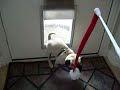 Sheldon Coming In